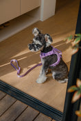Load image into Gallery viewer, NO PULL ACTIVE  PET HARNESS - MINT PURPLE

