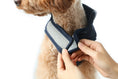 Load image into Gallery viewer, Reversible Dog Vest Jacket - Blue

