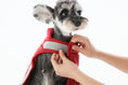 Load image into Gallery viewer, Reversible Dog Vest Jacket - Red
