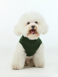 Load image into Gallery viewer, Pet Sweater Vest - Green
