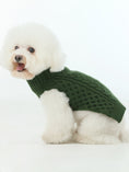 Load image into Gallery viewer, Pet Sweater Vest - Green
