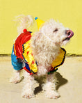 Load image into Gallery viewer, PAWTY HAT
