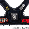 Load image into Gallery viewer, Misfits Harness
