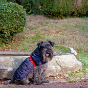 Dog Raincoat Blue And Red Quilt