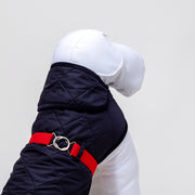 Dog Raincoat Blue And Red Quilt