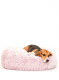 Load image into Gallery viewer, POD DOG BED - Southlake Paws
