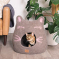 Load image into Gallery viewer, Girl Cat Design | Ear Style Cave
