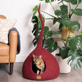 Load image into Gallery viewer, Wine Burgundy | Tail Style Cave
