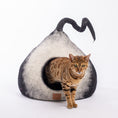 Load image into Gallery viewer, Burst Design | Tail Style Cave
