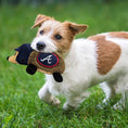 Load image into Gallery viewer, Atlanta Braves Plush Hedgehog Toy
