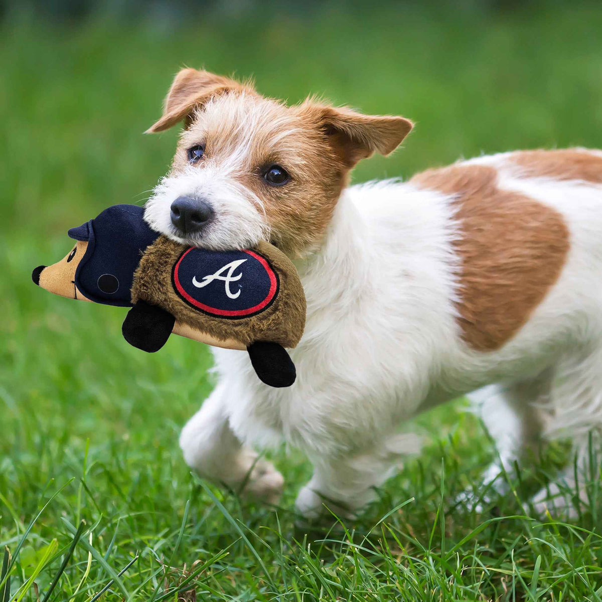 Atlanta Braves Plush Hedgehog Toy