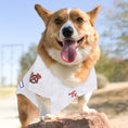 Load image into Gallery viewer, MLB Atlanta Braves White Mesh Dog Jersey
