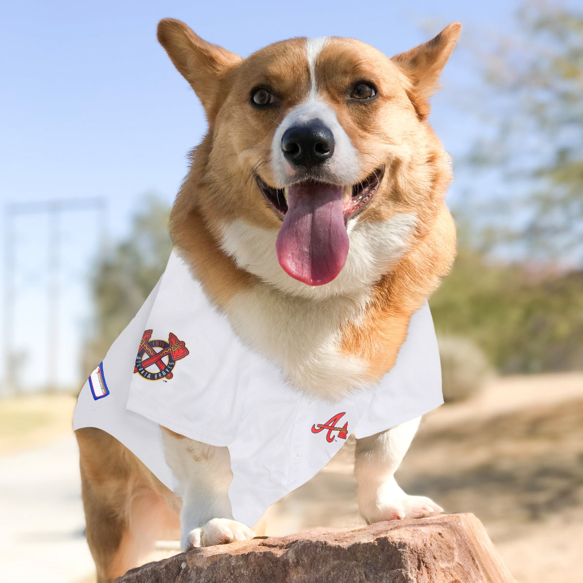 MLB Atlanta Braves White Mesh Dog Jersey