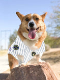 Load image into Gallery viewer, MLB Milwaukee Brewers Mesh Dog Jersey
