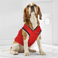 Load image into Gallery viewer, Chicago Bulls NBA Dog Jersey - Official Basketball Pet Fan Apparel
