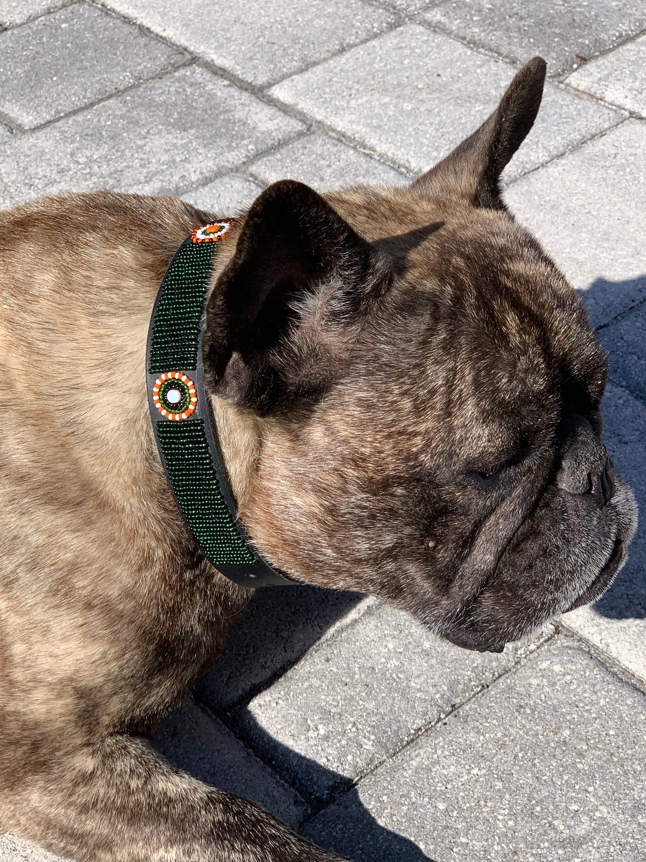 TKC The Babington Collection Dog Collars