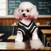 Preppy V-neck College Dog Sweater Pullover