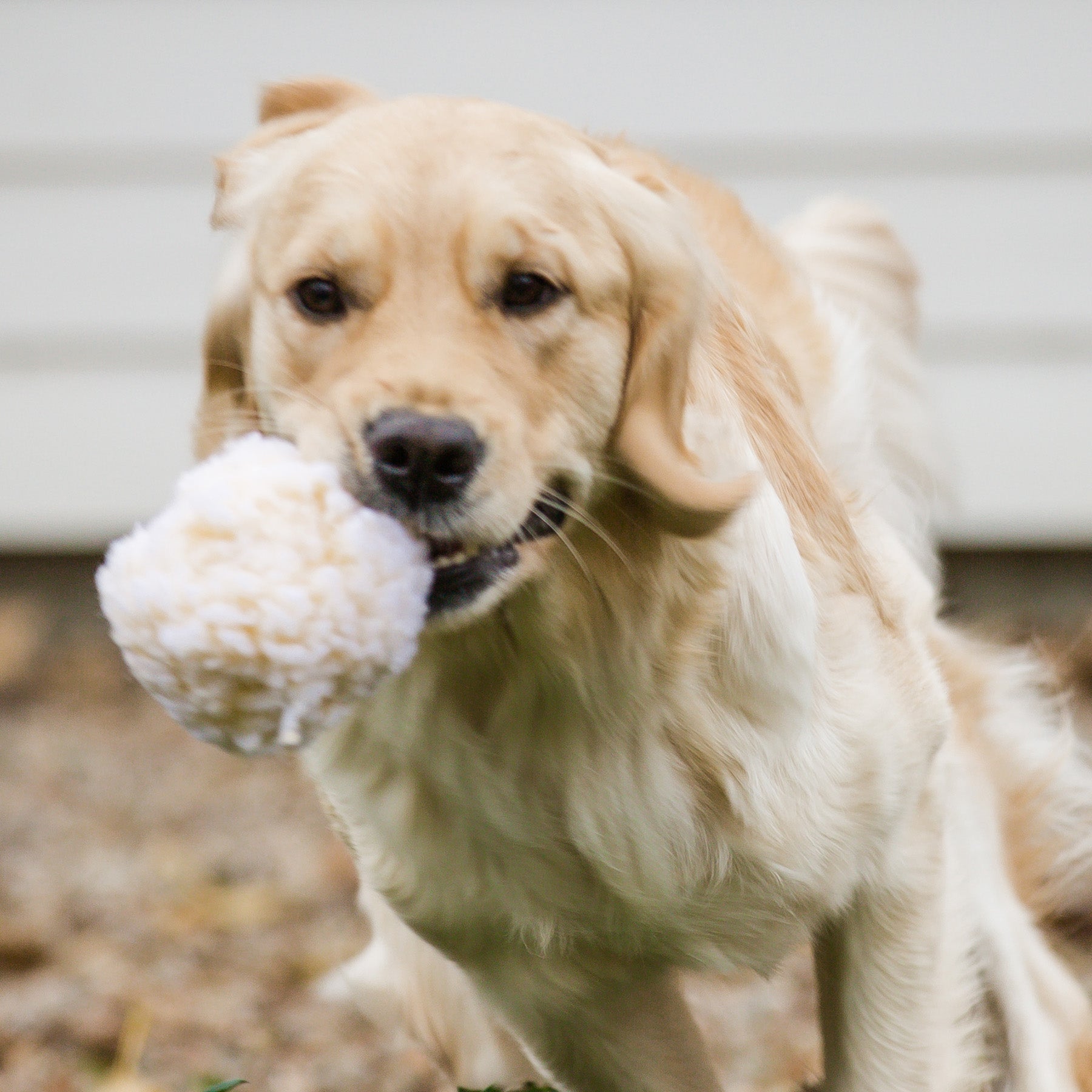 HuggleFleece® Plush Ball Dog Toy - image 5