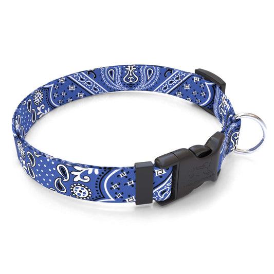 Personalized Bandana Blue Dog Collar