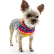 Bandana Rainbow