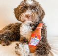 Load image into Gallery viewer, Barkweiser Beer Bottle

