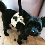 The Coco Dog Harness (Bone)