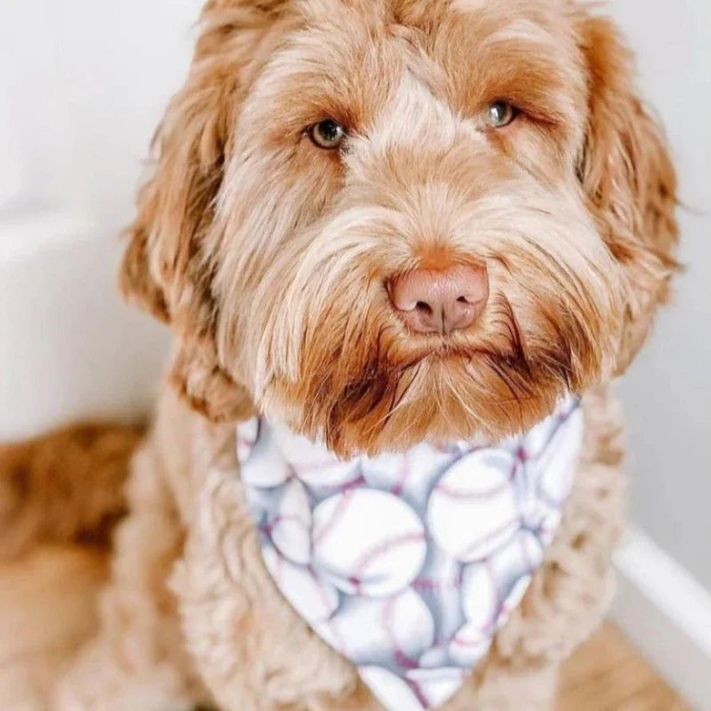 Baseball Bandana Dog Collar with Red Bow - Southlake Paws