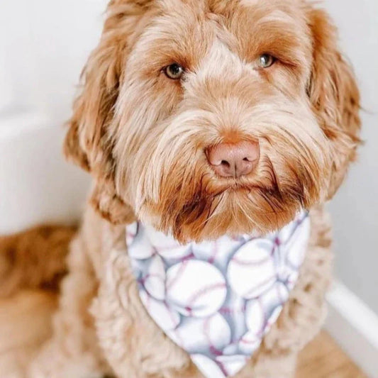 Baseball Bandana Dog Collar with Red Bow - Southlake Paws