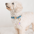 Load image into Gallery viewer, Beach Ball Pet Charm
