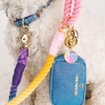 Load image into Gallery viewer, Beach Ball Pet Charm
