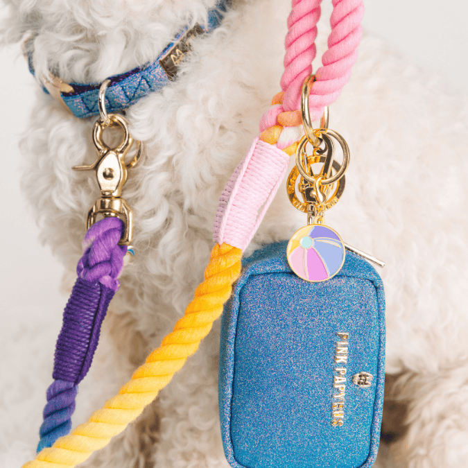 Beach Ball Pet Charm