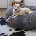 Load image into Gallery viewer, 40 Inch Forever Dog Bed (Waterproof) - Terry Corduroy
