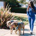 Load image into Gallery viewer, Beau Hands-Free Rope Dog Leash
