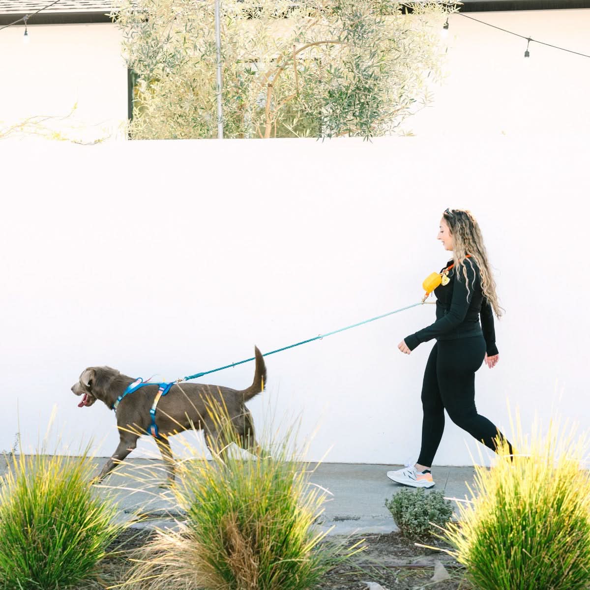 Beau Hands-Free Rope Dog Leash