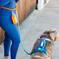 Load image into Gallery viewer, Beau Hands-Free Rope Dog Leash

