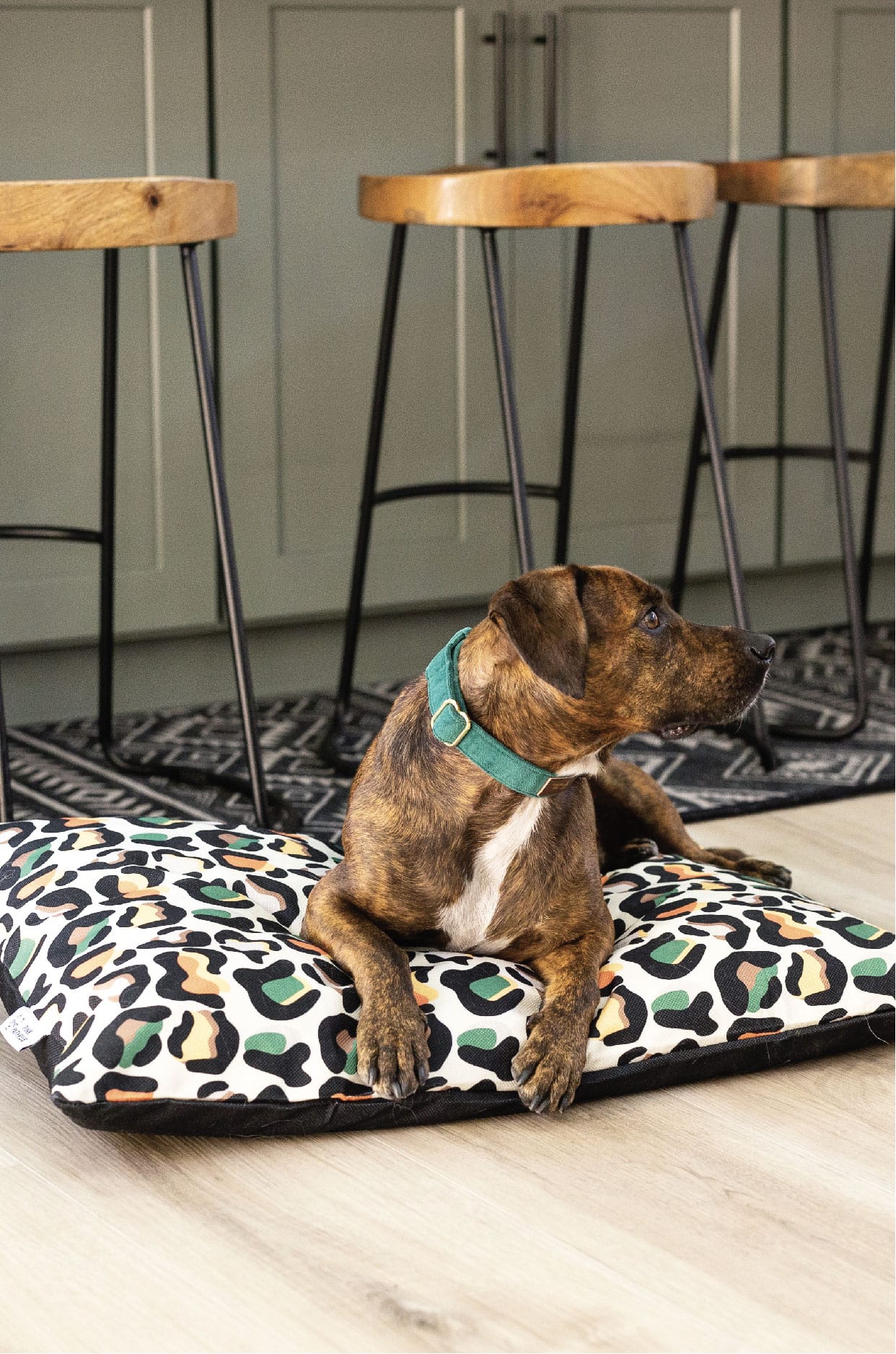 Beckett Dog Bed