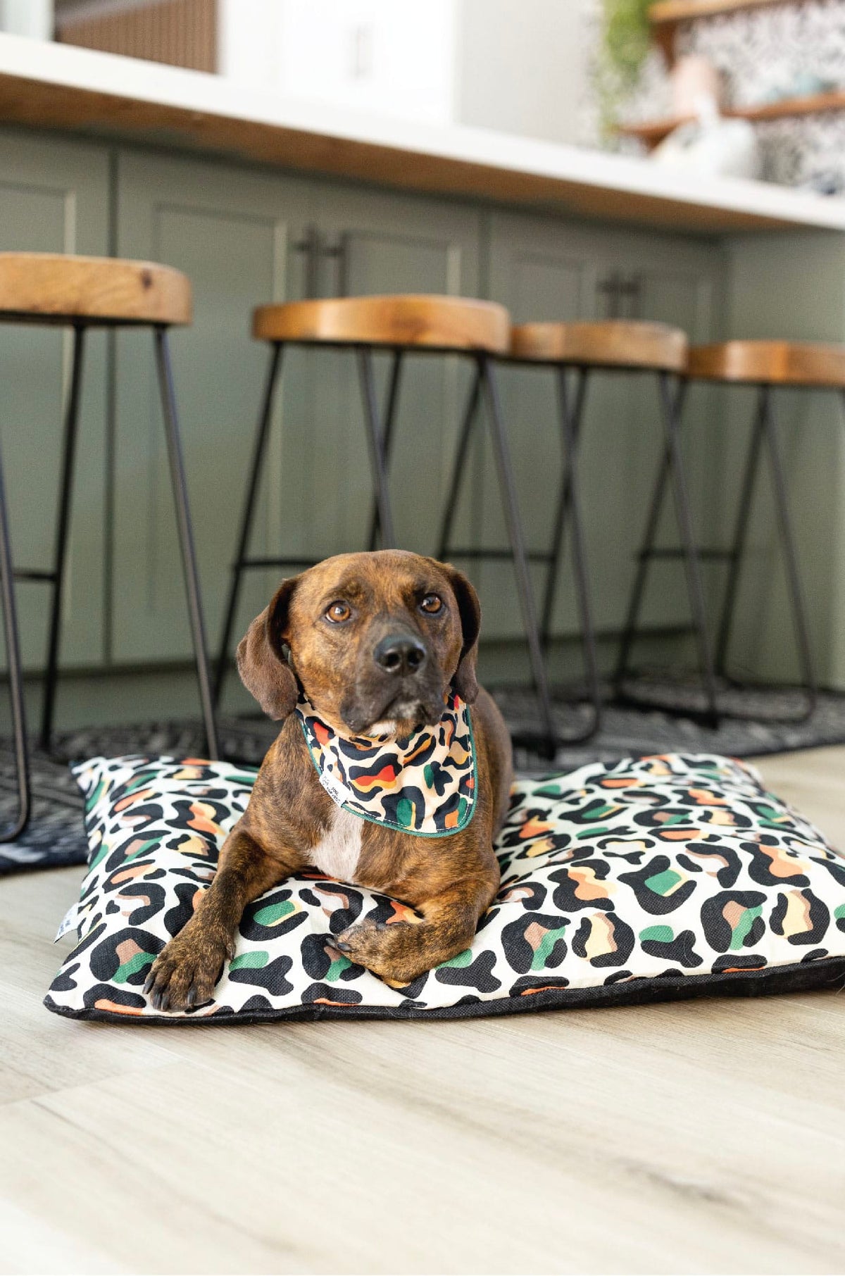 Beckett Dog Bed