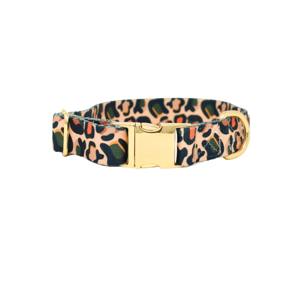 Beckett Dog Collar