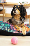 Load image into Gallery viewer, Bella Dog Bed
