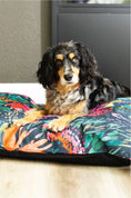 Load image into Gallery viewer, Bella Dog Bed
