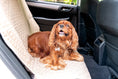 Load image into Gallery viewer, TuffutLuxx® Vehicle Protectors for Travel - image 4
