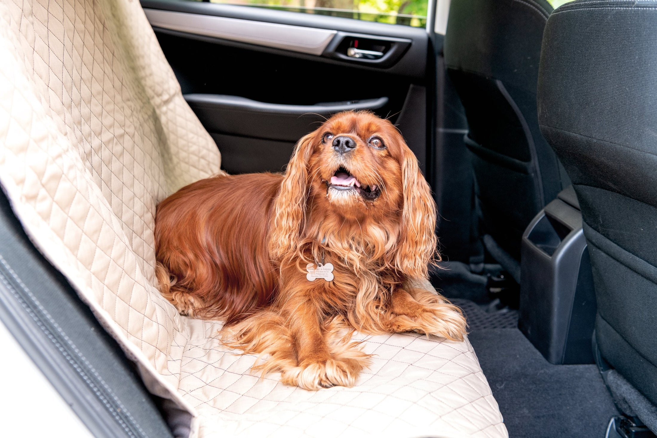 TuffutLuxx® Vehicle Protectors for Travel - image 4