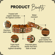 Boho Chic Sambboho dog collar