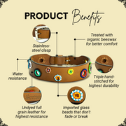 Miami Sambboho dog collar (made to order)