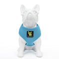 Load image into Gallery viewer, EcoBark Sky Blue Dog Harness - Over-the-Head Soft Mesh Dog Vest Halter for Small to Medium Dogs and Puppies
