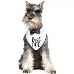 Best Dog Wedding Bandana
