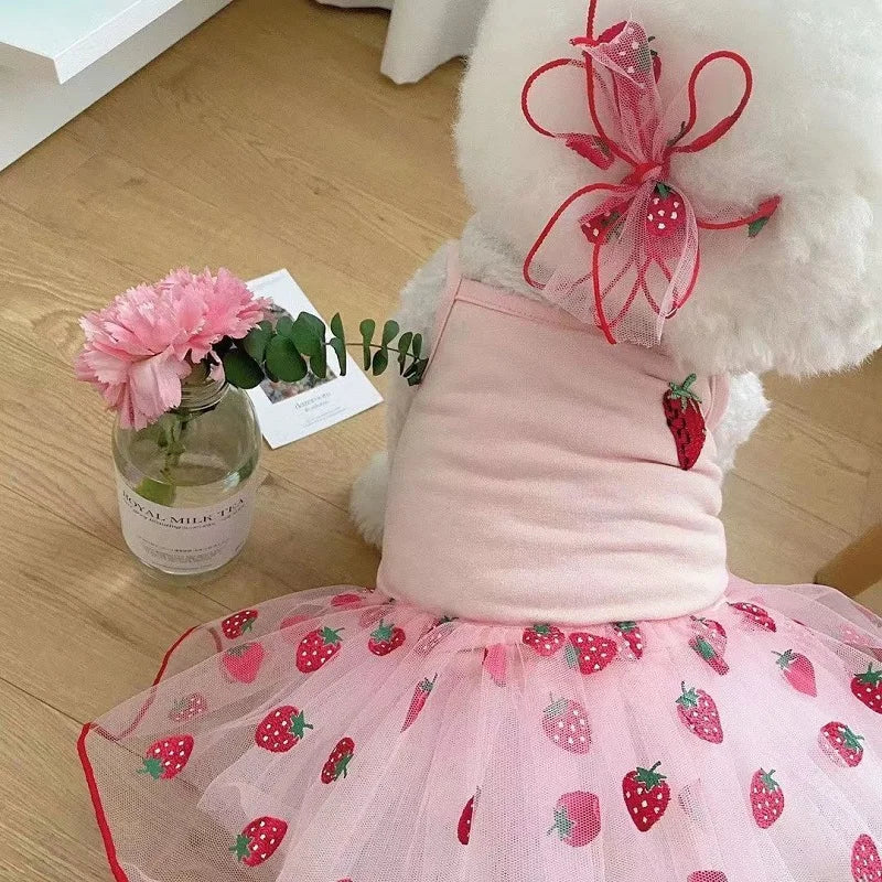 Cute Strawberry Dog Dress