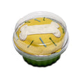 Load image into Gallery viewer, Big E's Cupcakes (Shelf Stable)
