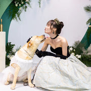 Big Dog Wedding Dress