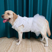 Big Dog Wedding Dress